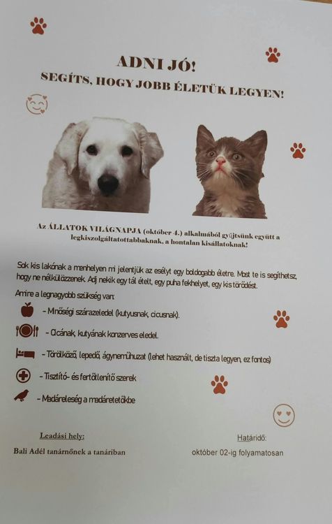 Október 4, Állatok Világnapja