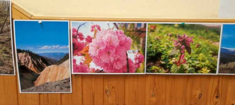 Fenntarthatósági témahét