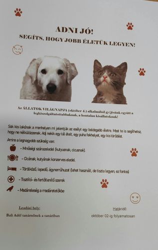 Október 4, Állatok Világnapja