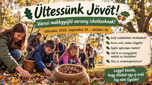 A Harruckernes diákok is csatlakoztak az  „Ültessünk Jövőt!” makkgyűjtő programhoz!